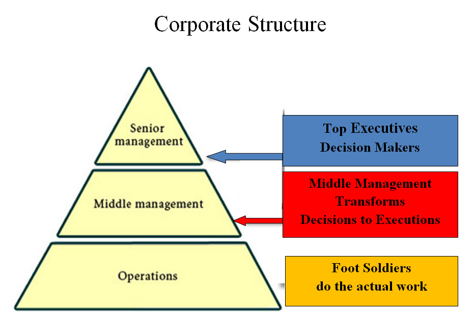 The System's Middle Management